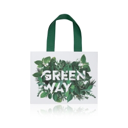 Пакет подарочный &laquo;Greenway&raquo; малый